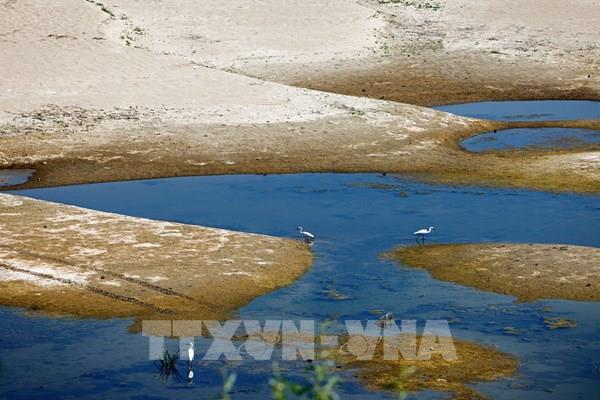 Mực nước sông Danube xuống thấp, đe dọa an ninh năng lượng Trung và Đông Âu
