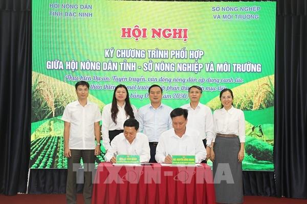 Canh tác lúa theo hướng bền vững, thân thiện với môi trường