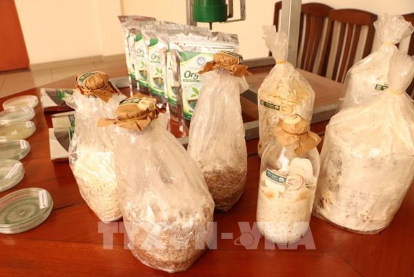 Xây dựng chuỗi giá trị sầu riêng theo hướng xanh, phát thải thấp