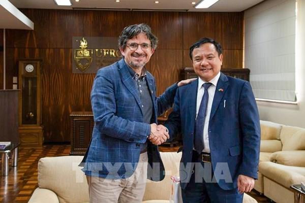 Việt Nam, Brazil tăng cường hợp tác về chuyển đổi số