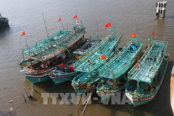 TP. Hồ Chí Minh mở đợt cao điểm gỡ cảnh báo thẻ vàng IUU