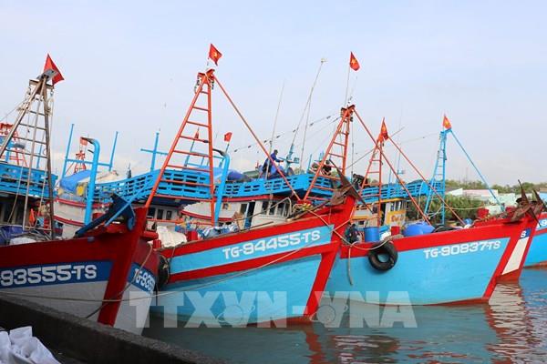 Điều gì giúp Đồng Tháp không có tàu cá vi phạm IUU?