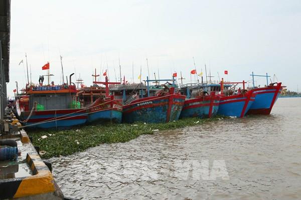 Ninh Bình tạm dừng hoạt động tại một số khu, điểm du lịch do bão số 4