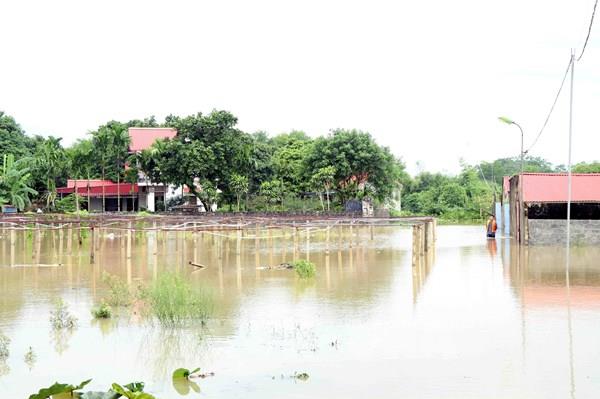 Thái Nguyên: Nước sông dâng cao gây ngập nhiều khu dân cư ven sông Cầu