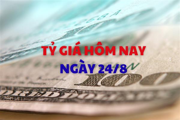 Tỷ giá hôm nay 24/8: Giá USD và NDT cùng đứng yên