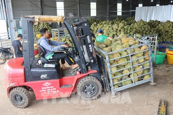 Lâm Đồng thống nhất danh mục 11 nhiệm vụ khoa học và công nghệ năm 2026