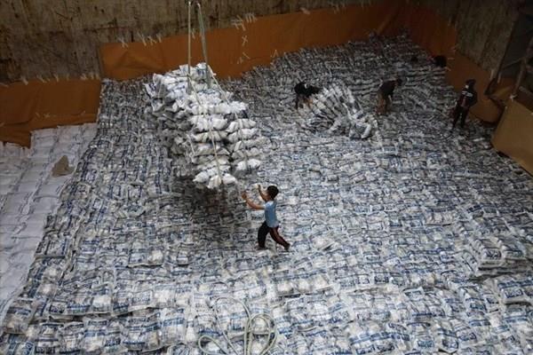 Giá lúa mỳ và gạo châu Á lập đỉnh nhiều năm, cà phê đi ngang