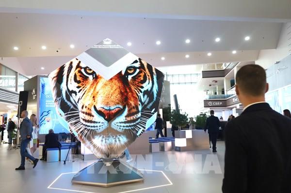 Diễn đàn Kinh tế phương Đông 2026: Nền tảng đối thoại quốc tế dựa trên thịnh vượng và phát triển chung