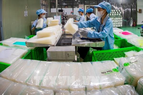Bánh tráng Tây Ninh: Từ vị quê nhà đến bàn ăn thế giới