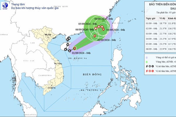 Áp thấp nhiệt đới đã mạnh lên thành bão – bão số 5