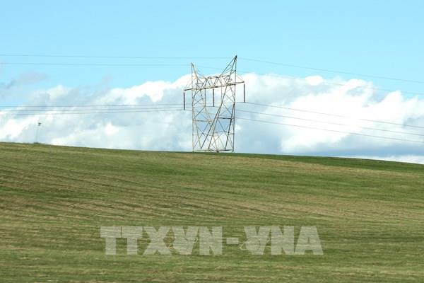 Mỹ: Trung tâm dữ liệu AI làm nóng thị trường bất động sản