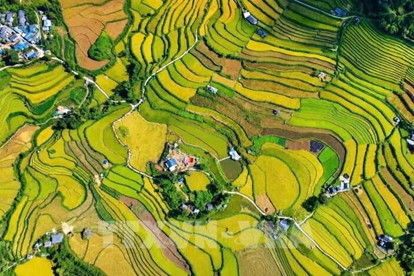 Ngày hội Mùa vàng Tả Lèng