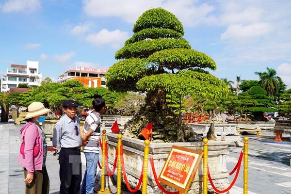 “Xanh quê ngày trở về” - Nơi hội tụ những tác phẩm sinh vật cảnh độc đáo