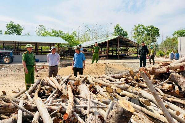Khởi tố 10 đối tượng để điều tra, làm rõ hành vi đưa, nhận hối lộ, khai thác lâm sản trái phép