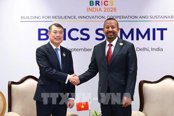 Thủ tướng Chính phủ Lê Minh Hưng gặp Thủ tướng Ethiopia Abiy Ahmed Ali