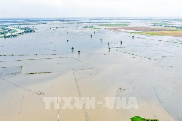 Lũ trên sông Đồng Nai vượt báo động 1, nguy cơ lũ quét, sạt lở tại Lâm Đồng