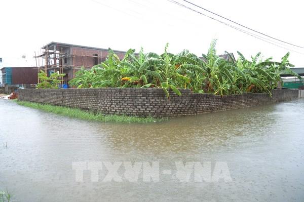 Các tỉnh, thành phố Bắc Bộ và từ Thanh Hóa đến Hà Tĩnh chủ động ứng phó với mưa lớn