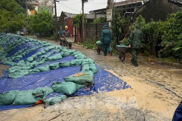 Huy động lực lượng gia cố các điểm sạt lở, sụt lún nghiêm trọng