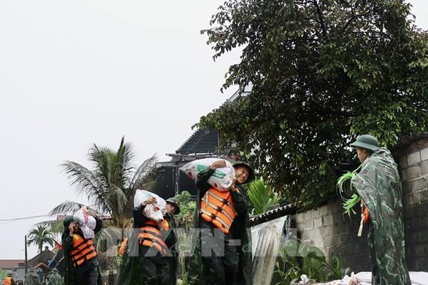 Báo động III trên sông Tích, sông Bùi, thành phố Hà Nội khẩn trương ứng phó với lũ