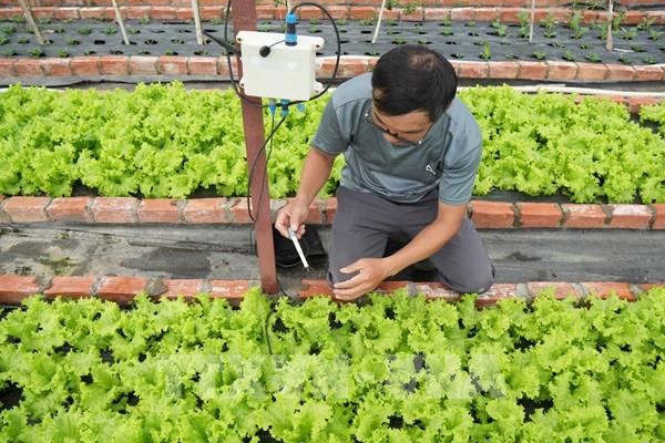 Nông nghiệp thông minh giúp nhà vườn Đà Lạt giảm 70% nhân công và chi phí