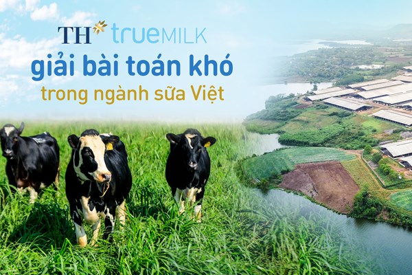 Tập đoàn TH giải bài toán khó trong ngành sữa