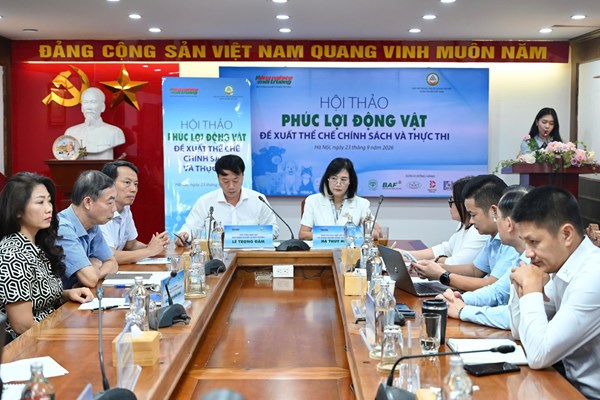 Đề xuất hoàn thiện chính sách, tiêu chuẩn phúc lợi động vật trong chăn nuôi