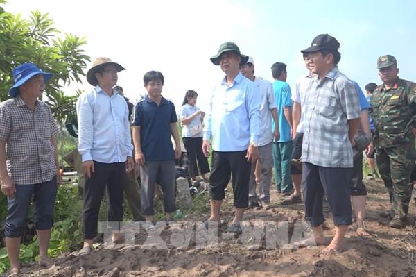 Vĩnh Long chạy đua gia cố đê bao trước triều cường