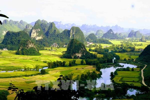 Mùa vàng trên thung lũng Ngọc Côn