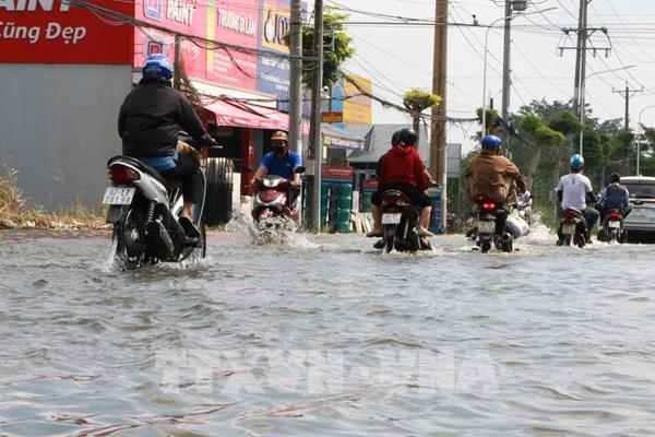 Khi lũ gặp triều cường, nhiều tuyến đường Đồng Tháp ngập sâu