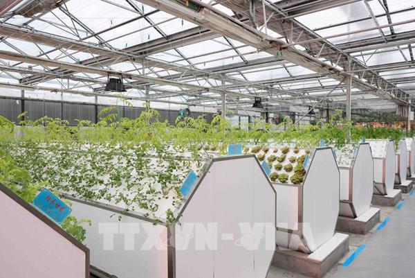 Thúc đẩy hợp tác nông nghiệp công nghệ cao giữa các địa phương Việt Nam và tỉnh Hắc Long Giang (Trung Quốc)