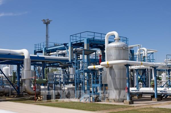 EU họp khẩn bàn khả năng xả kho dự trữ dầu