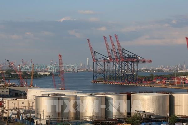 Giá dầu thế giới quay đầu giảm sau quyết định mở kho dự trữ khẩn cấp của G7