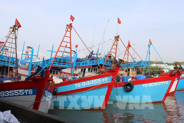 Đồng Tháp siết kiểm soát IUU trước đợt thanh tra EC