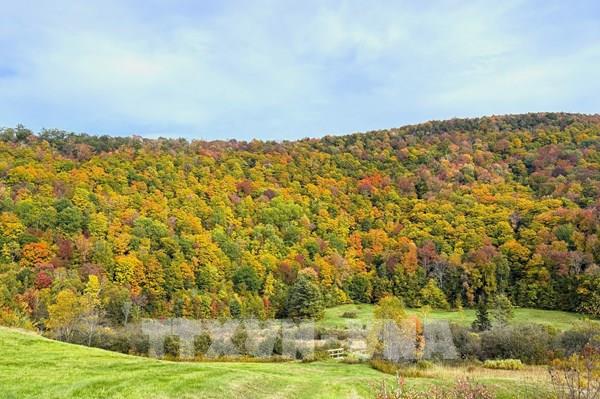 Sắc Thu quyến rũ tại bang Vermont (Mỹ)