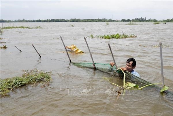 Cảnh báo lũ trên các sông từ Quảng Trị đến Quảng Ngãi