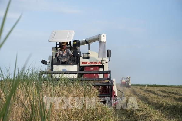 Siêu El Nino phủ bóng lên an ninh lương thực châu Phi