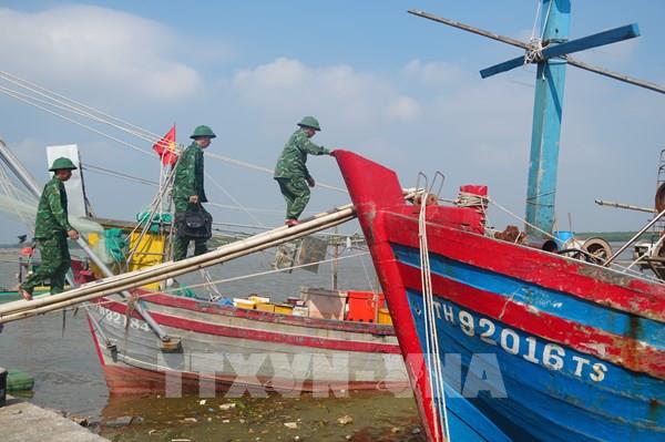 Khắc phục "thẻ vàng" IUU:  Số hóa quản lý tàu cá, minh bạch nguồn gốc thủy sản