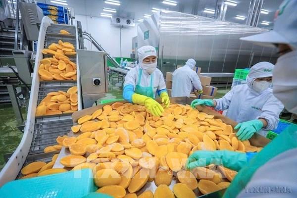 Thêm dư địa nâng giá trị xuất khẩu cho hàng Việt