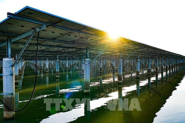 Tây Ninh biến lợi thế nắng, gió thành động lực tăng trưởng