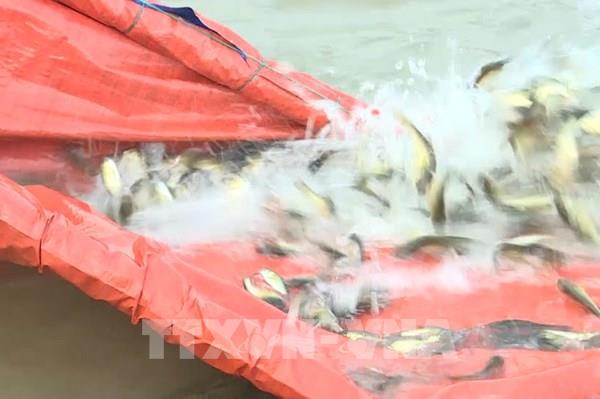 Định hướng khai thác đa mục tiêu trên lòng hồ thủy lợi Ia Mơr