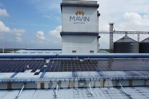 Điện mặt trời: Lời giải bài toán chi phí của doanh nghiệp Đồng Tháp