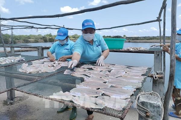 Từ bến tàu không số đến vùng quê phát triển của Vĩnh Long
