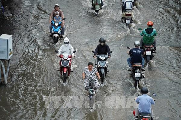 Triều cường lên cao, khu dân cư Rạch Cùng ngập sâu trong nước