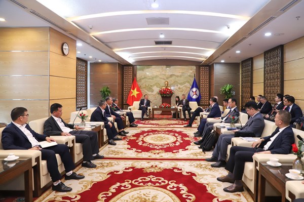 Lãnh đạo EVN làm việc với các đối tác nước ngoài