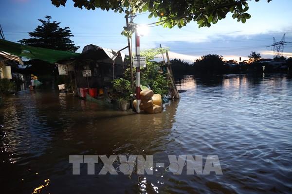 Triều cường lên cao, khu dân cư Rạch Cùng ngập sâu trong nước