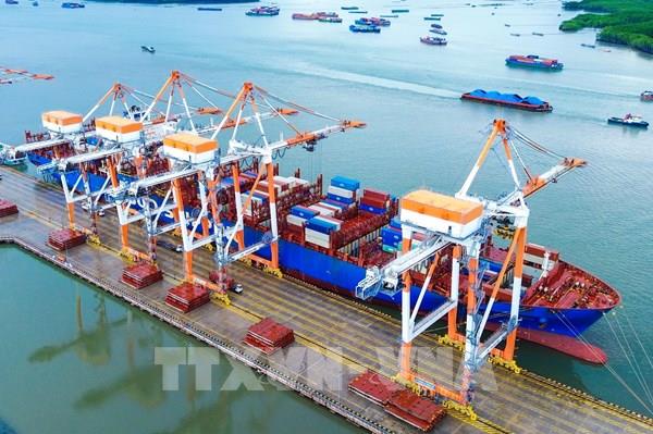 Cảng Tân Cảng - Cái Mép Thị Vải ba năm liên tiếp đạt mốc 1 triệu TEU