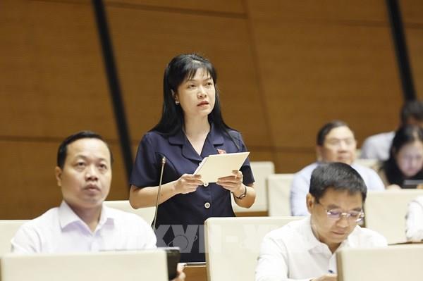 Kỳ họp thứ 2, Quốc hội khóa XVI: Phát huy lợi thế vùng miền núi, tạo động lực phát triển kinh tế cửa khẩu