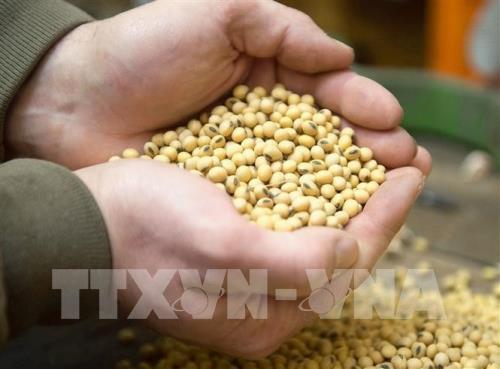 184853_185120-trung-quoc-xac-nhan-mua-them-nong-san-my.jpg