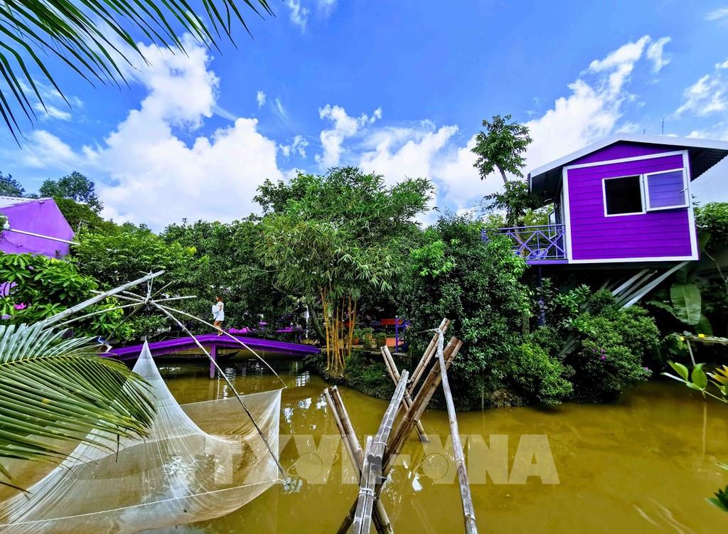 Photo - “Căn nhà màu tím” độc đáo ở Cần Thơ