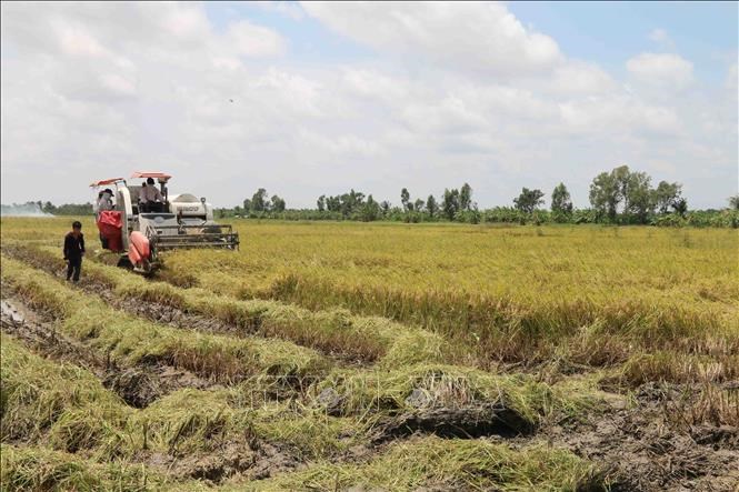 Nuôi tôm siêu thâm canh giúp lợi nhuận tăng 7  10 lần  Kinh nghiệm làm ăn   Báo ảnh Dân tộc và Miền núi